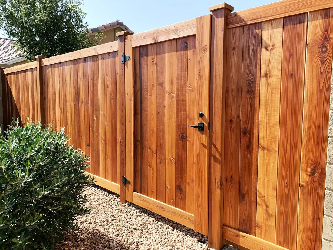 Cedar privacy fence and matching gate in Tempe, AZ hanging square on clean hardware, the boards flush and the grain warm